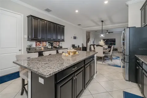 8099 Lago Mist Way Wesley Chapel FL 33545