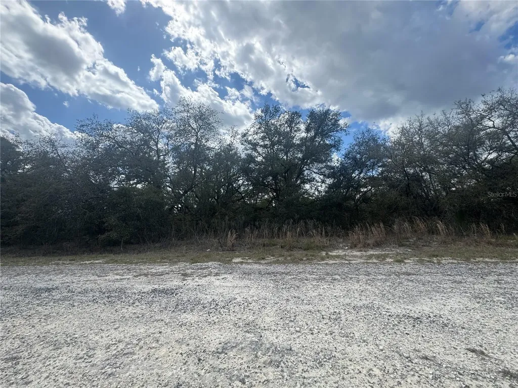 Tbd SE 131st Terrace Dunnellon FL 34431