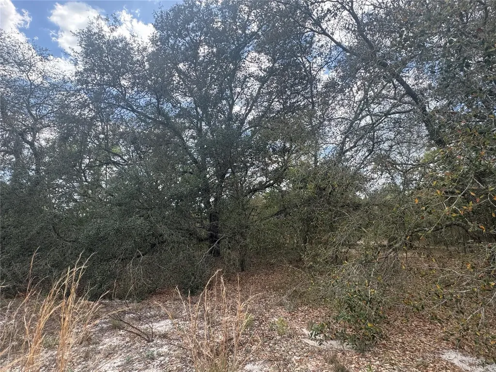 Tbd SE 131st Terrace Dunnellon FL 34431