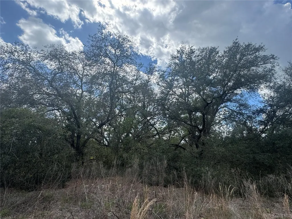 Tbd SE 131st Terrace Dunnellon FL 34431