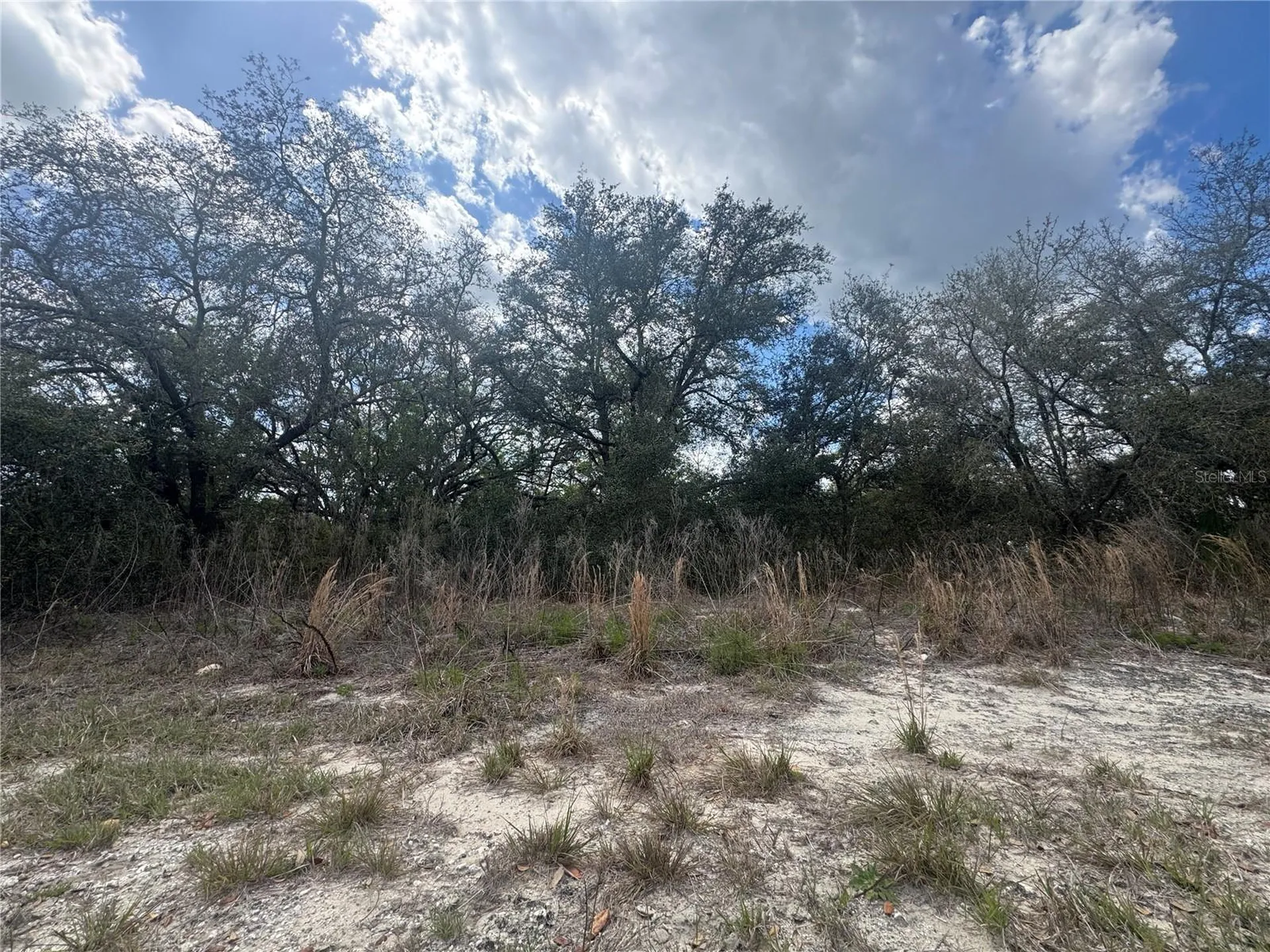 Tbd SE 131st Terrace Dunnellon FL 34431