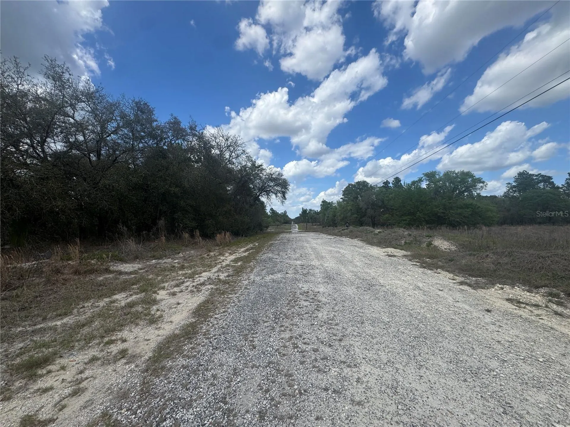 Tbd SE 131st Terrace Dunnellon FL 34431