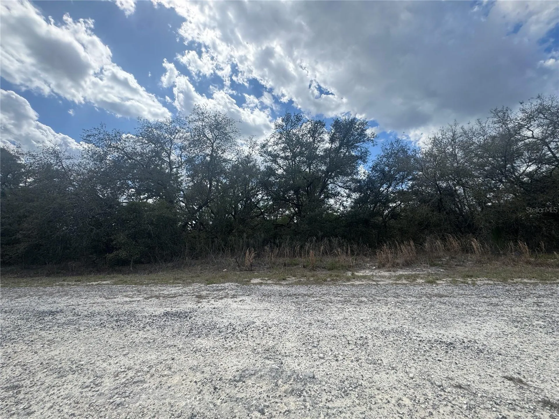 Tbd SE 131st Terrace Dunnellon FL 34431