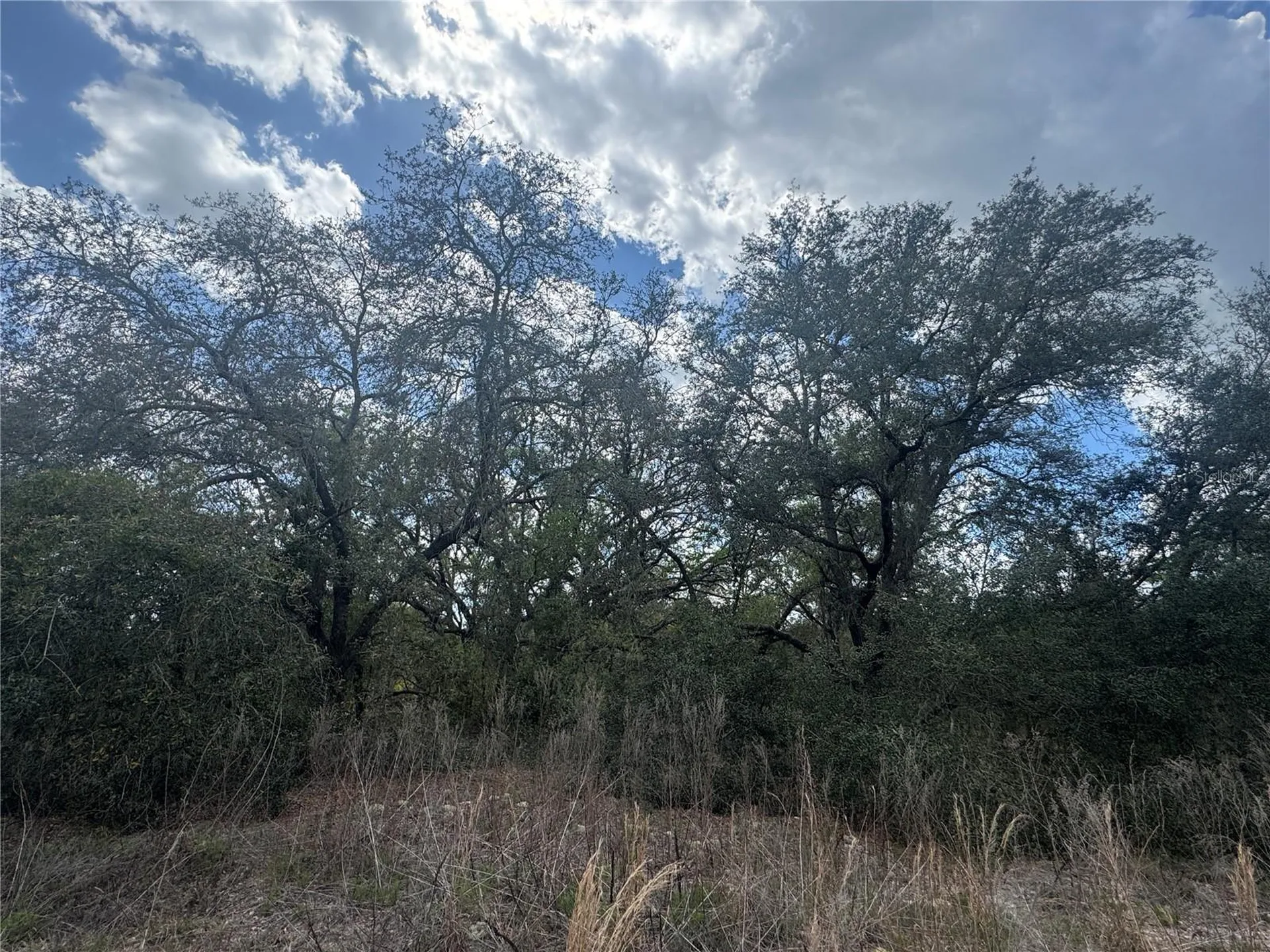Tbd SE 131st Terrace Dunnellon FL 34431