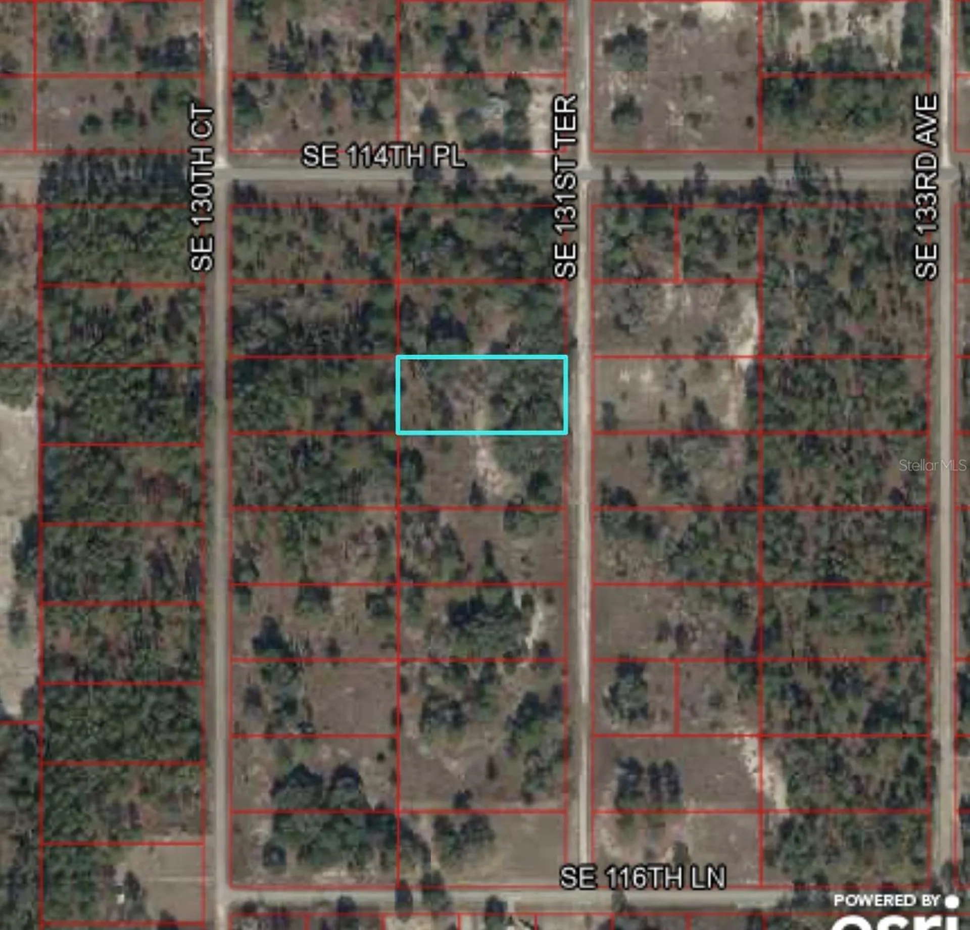 Tbd SE 131st Terrace Dunnellon FL 34431