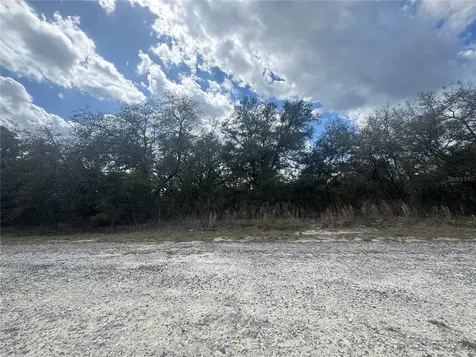 Tbd SE 131st Terrace Dunnellon FL 34431