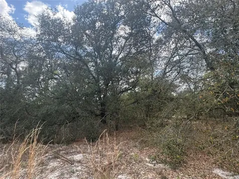 Tbd SE 131st Terrace Dunnellon FL 34431