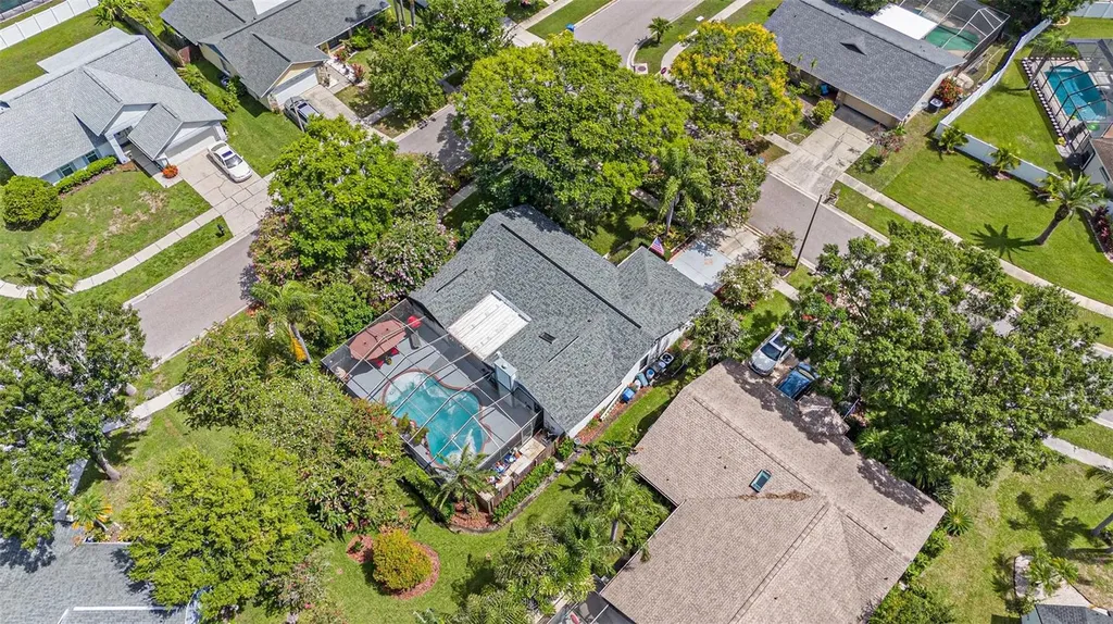 12014 Littleberry Court Tampa FL 33635
