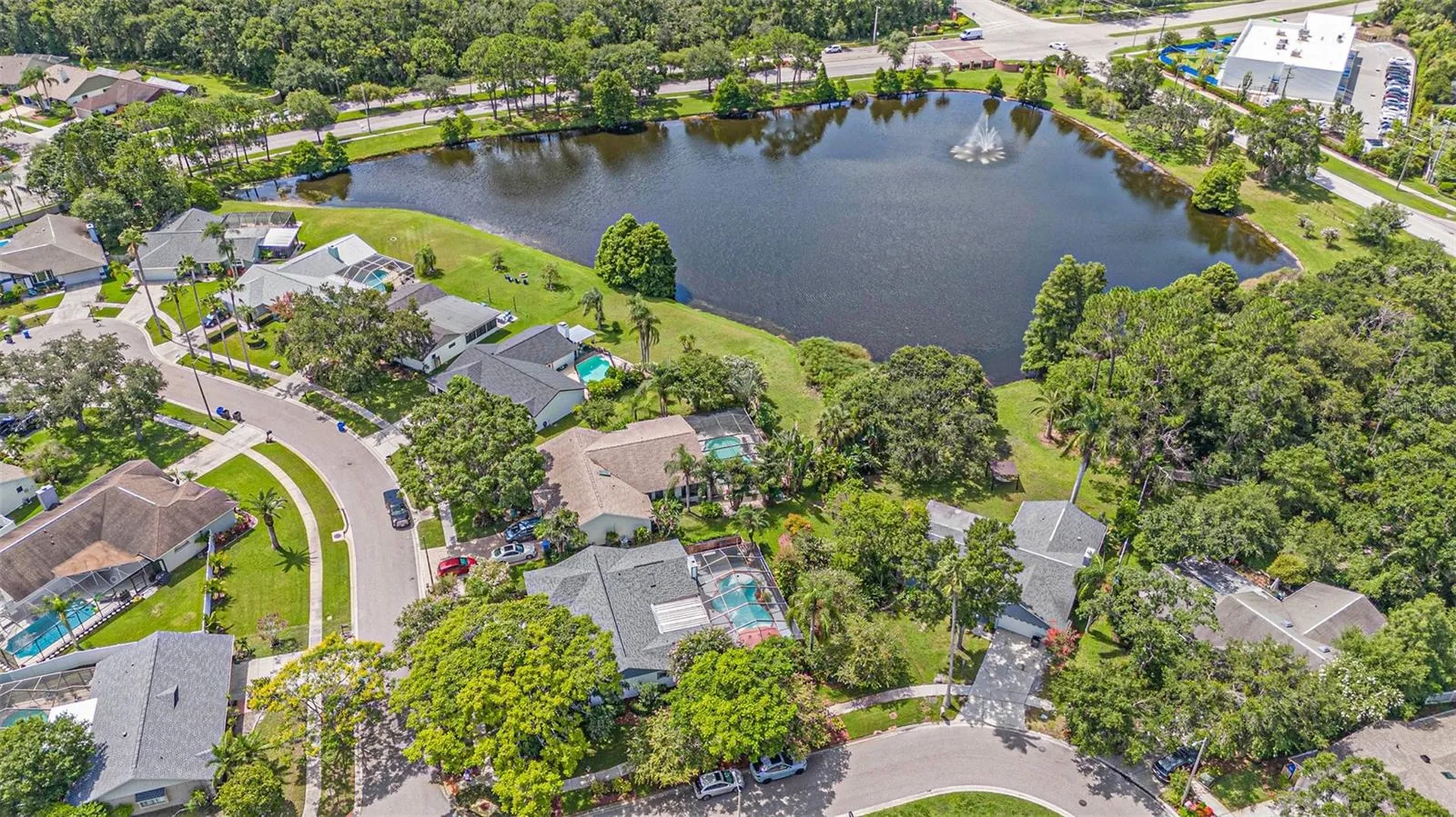 12014 Littleberry Court Tampa FL 33635
