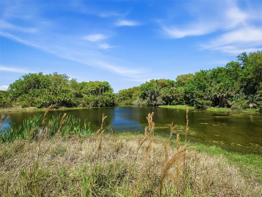 387 Marsh Landing Loop Oak Hill FL 32759