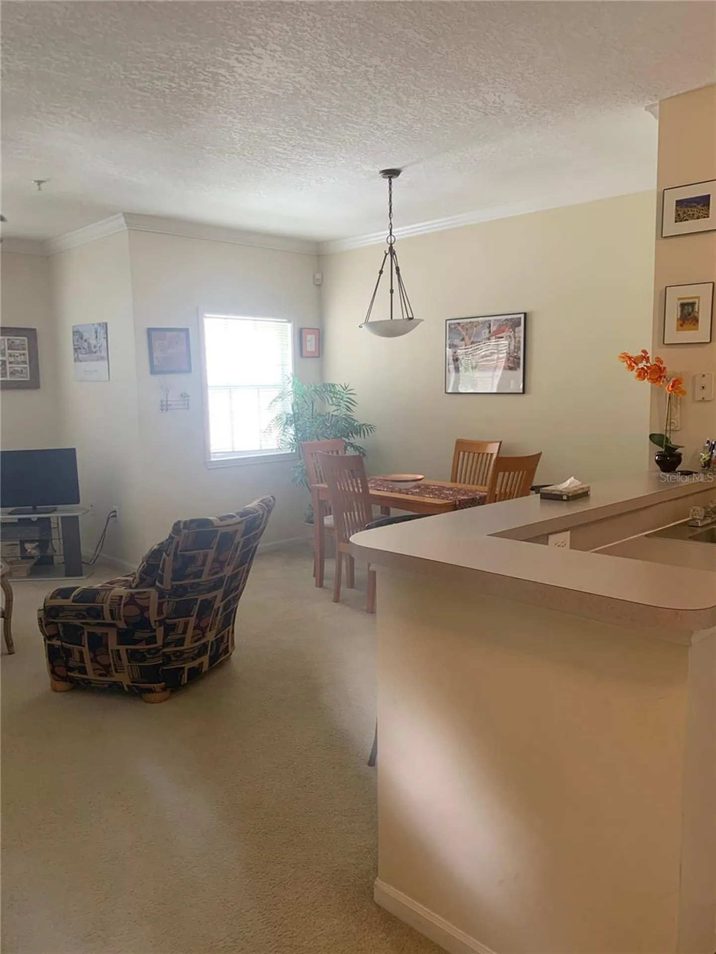 571 Water Street Celebration FL 34747