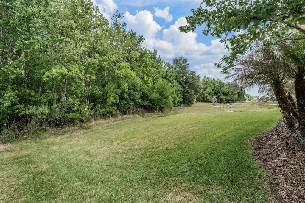 4557 Vermillion Sky Drive Wesley Chapel FL 33544