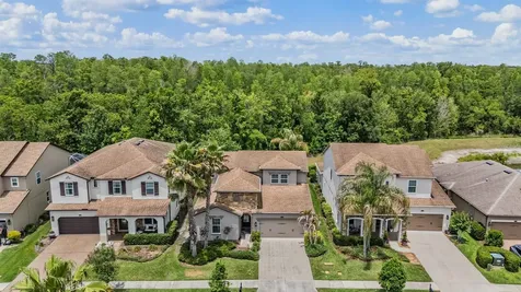 4557 Vermillion Sky Drive Wesley Chapel FL 33544