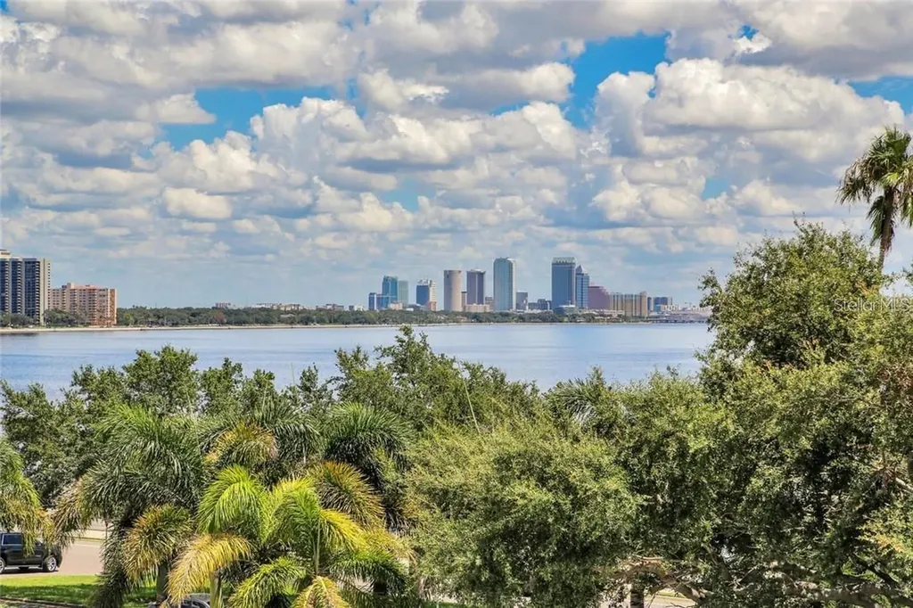 3507 Bayshore Boulevard Tampa FL 33629
