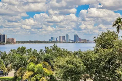 3507 Bayshore Boulevard Tampa FL 33629
