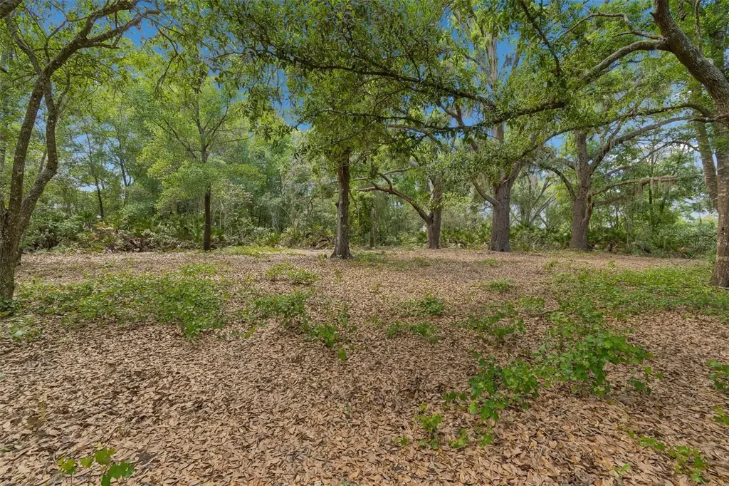 17001 Midas Lane Lutz FL 33549