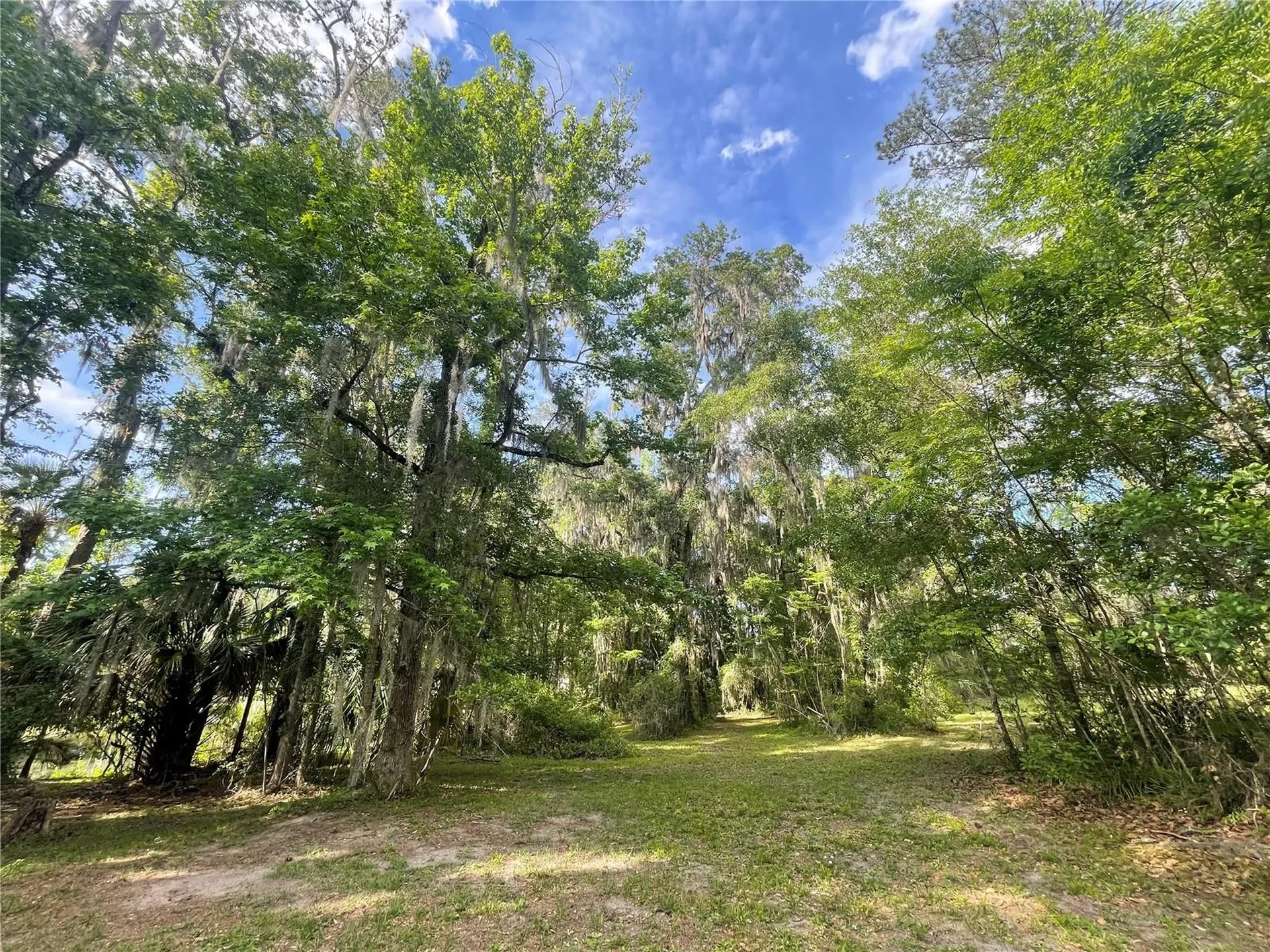 Tbd NW 46th Street Ocala FL 34482