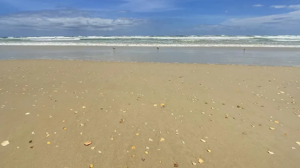 4501 S Atlantic Avenue New Smyrna Beach FL 32169