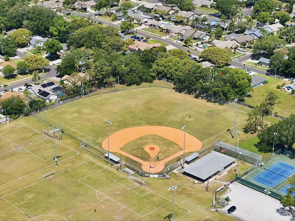 2314 Landon Terrace Palm Harbor FL 34683