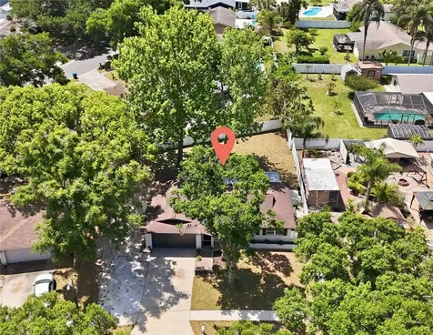 2314 Landon Terrace Palm Harbor FL 34683