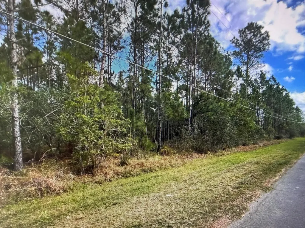 Paddock Street Orlando FL 32833