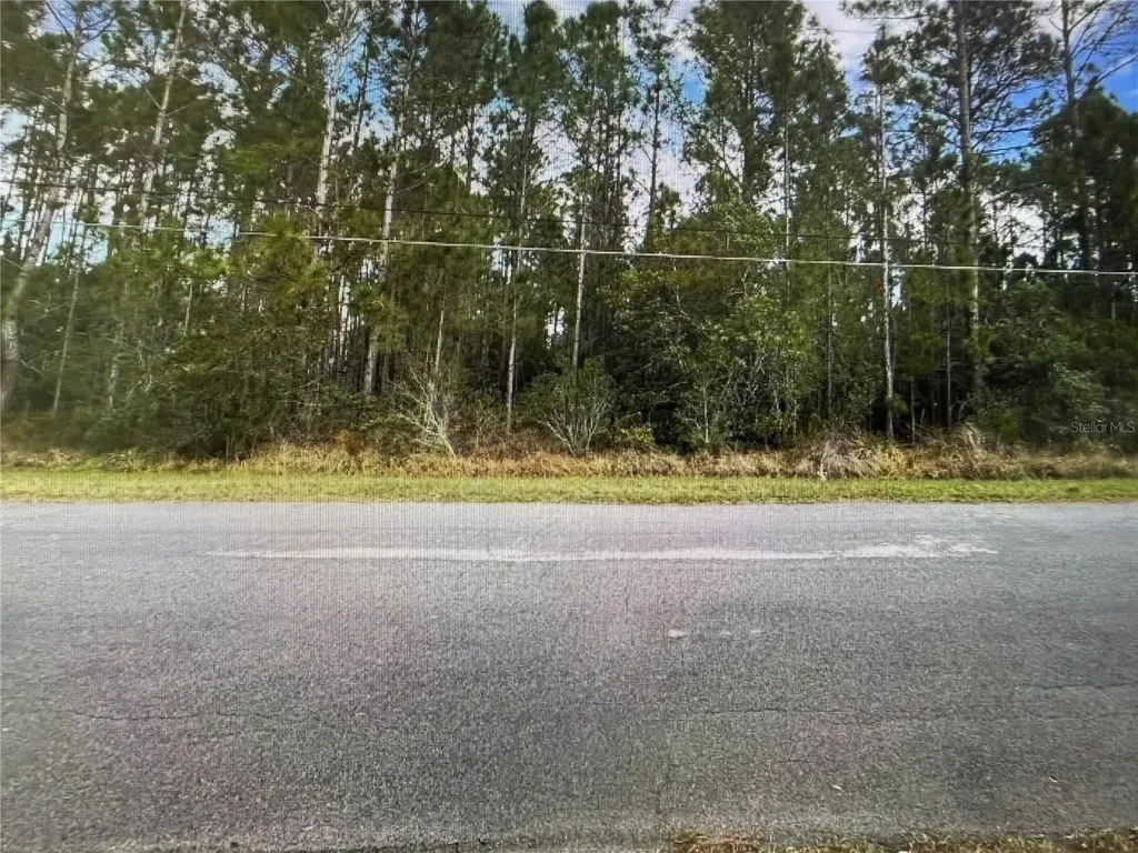 Paddock Street Orlando FL 32833