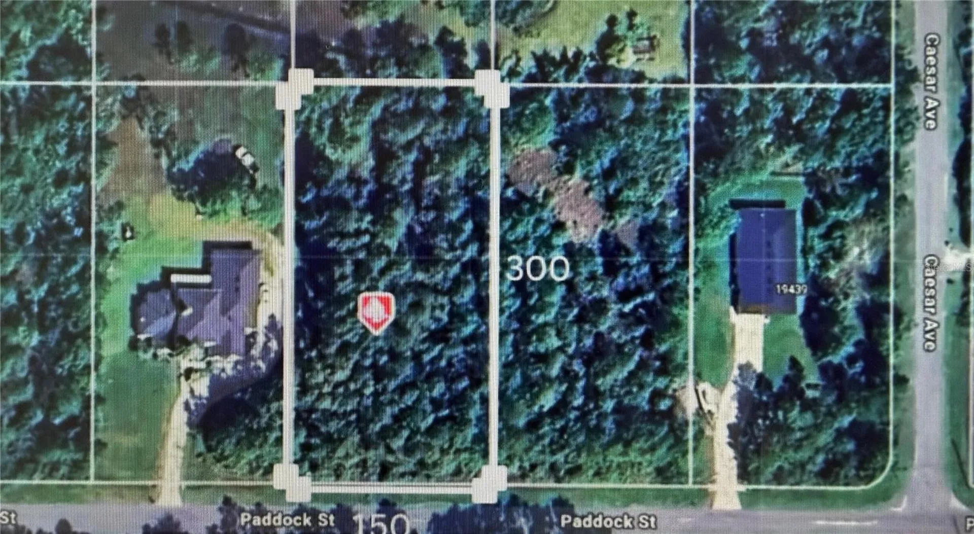 Paddock Street Orlando FL 32833