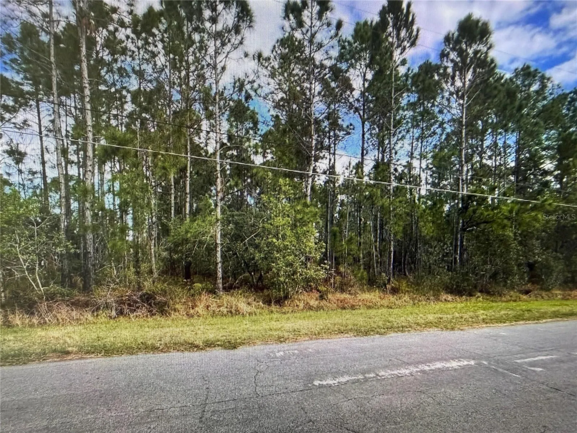 Paddock Street Orlando FL 32833