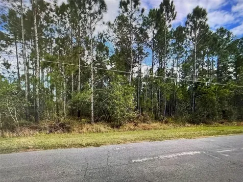 Paddock Street Orlando FL 32833