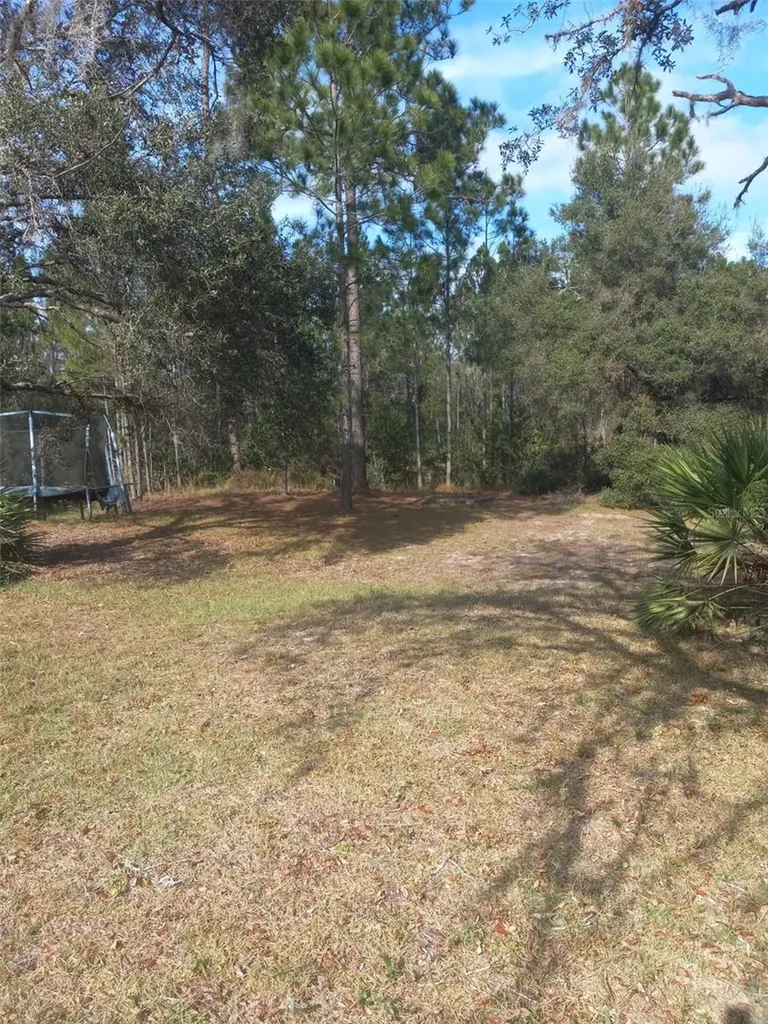 2477 Thacker Trail Kissimmee FL 34747