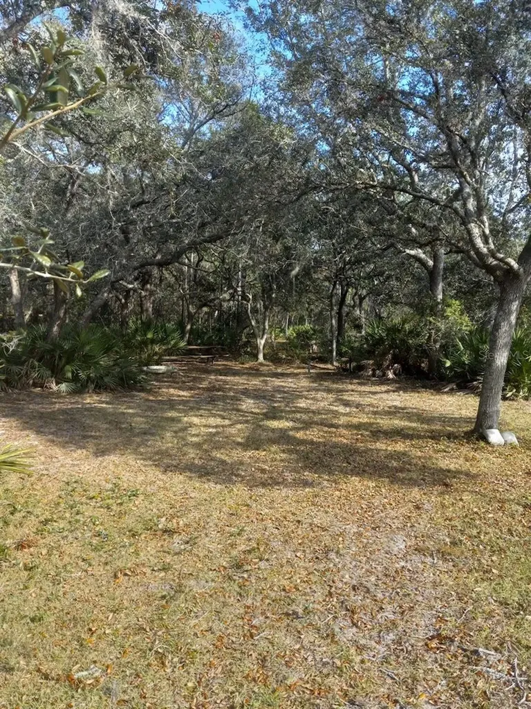 2477 Thacker Trail Kissimmee FL 34747
