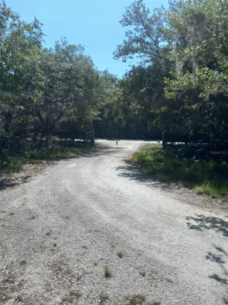 2477 Thacker Trail Kissimmee FL 34747