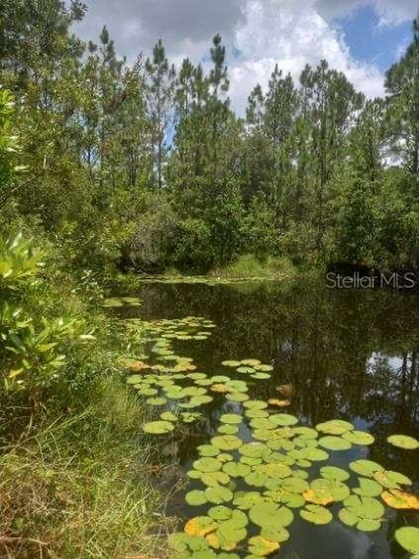 2477 Thacker Trail Kissimmee FL 34747