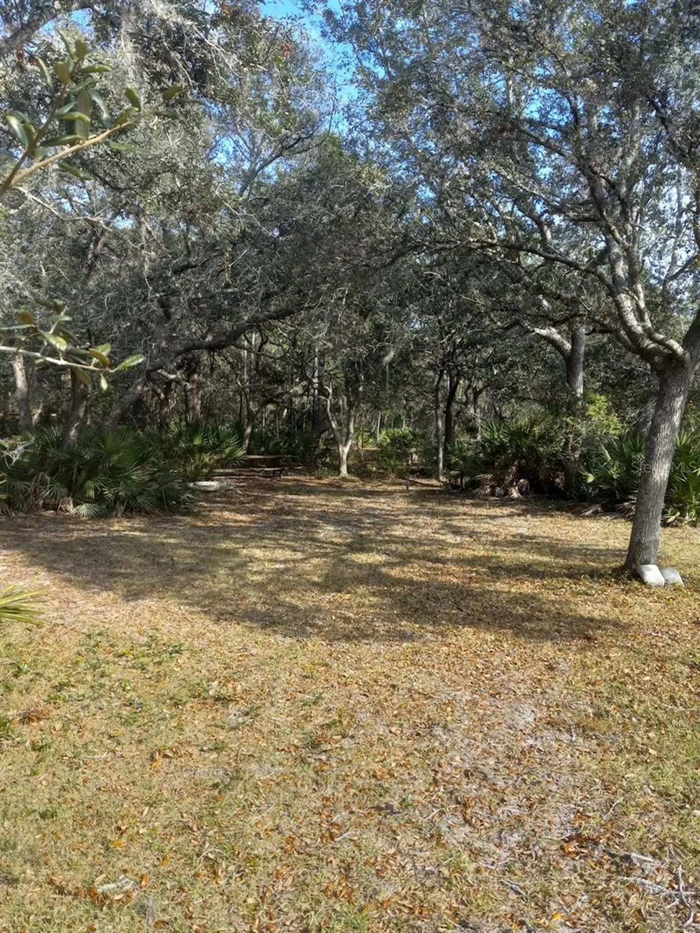 2477 Thacker Trail Kissimmee FL 34747