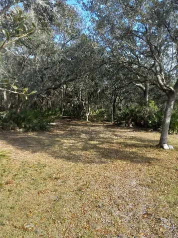 2477 Thacker Trail Kissimmee FL 34747