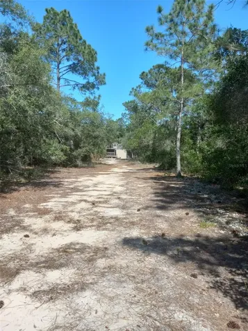 2477 Thacker Trail Kissimmee FL 34747
