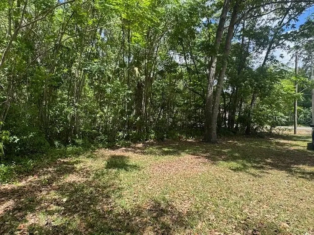1038 SE 30th Avenue Ocala FL 34471