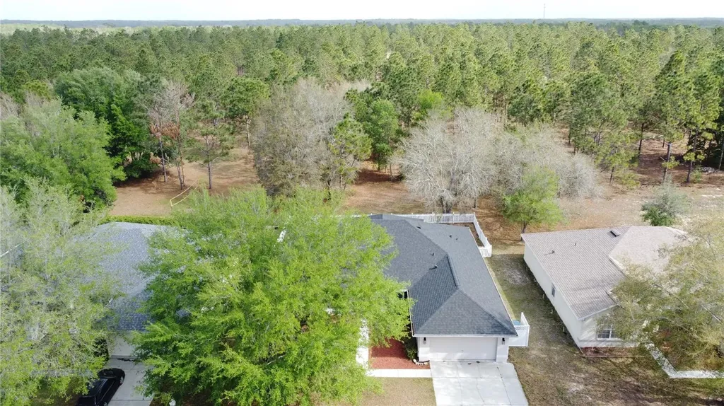 31249 Satinleaf Run Brooksville FL 34602