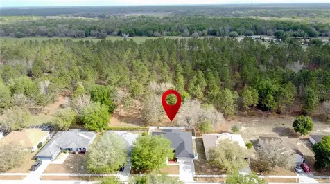 31249 Satinleaf Run Brooksville FL 34602