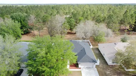 31249 Satinleaf Run Brooksville FL 34602