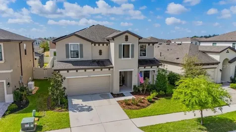 14613 Red Castle Avenue Lithia FL 33547