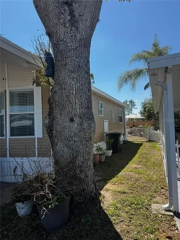 123 Pansy Street Davenport FL 33837