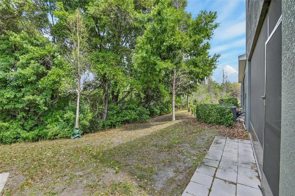 6946 Breezy Palm Drive Riverview FL 33578