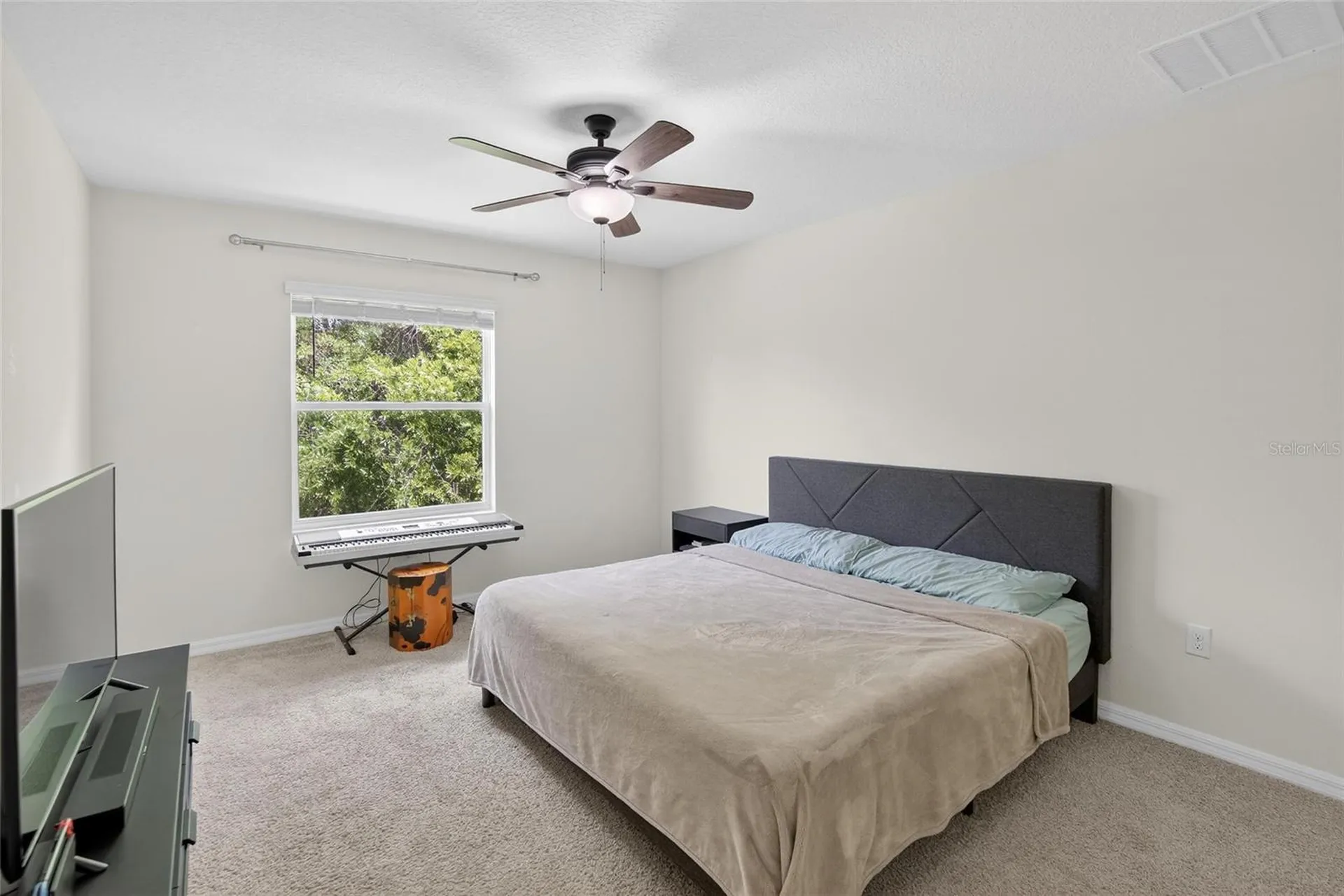 6946 Breezy Palm Drive Riverview FL 33578