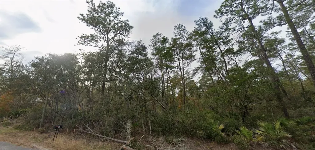 Lot 22 Fisher Way Track Ocklawaha FL 32179