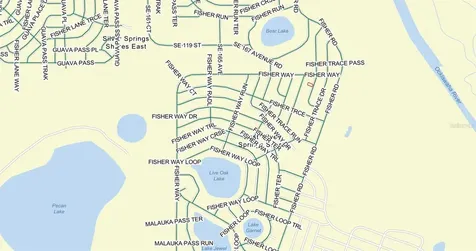 Lot 22 Fisher Way Track Ocklawaha FL 32179