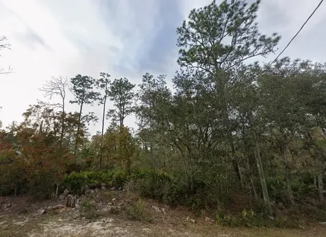 Lot 22 Fisher Way Track Ocklawaha FL 32179
