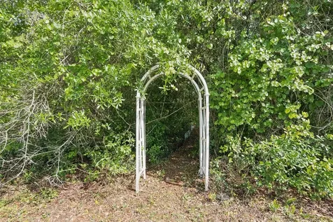 3501 Hill Stream Avenue Apopka FL 32712