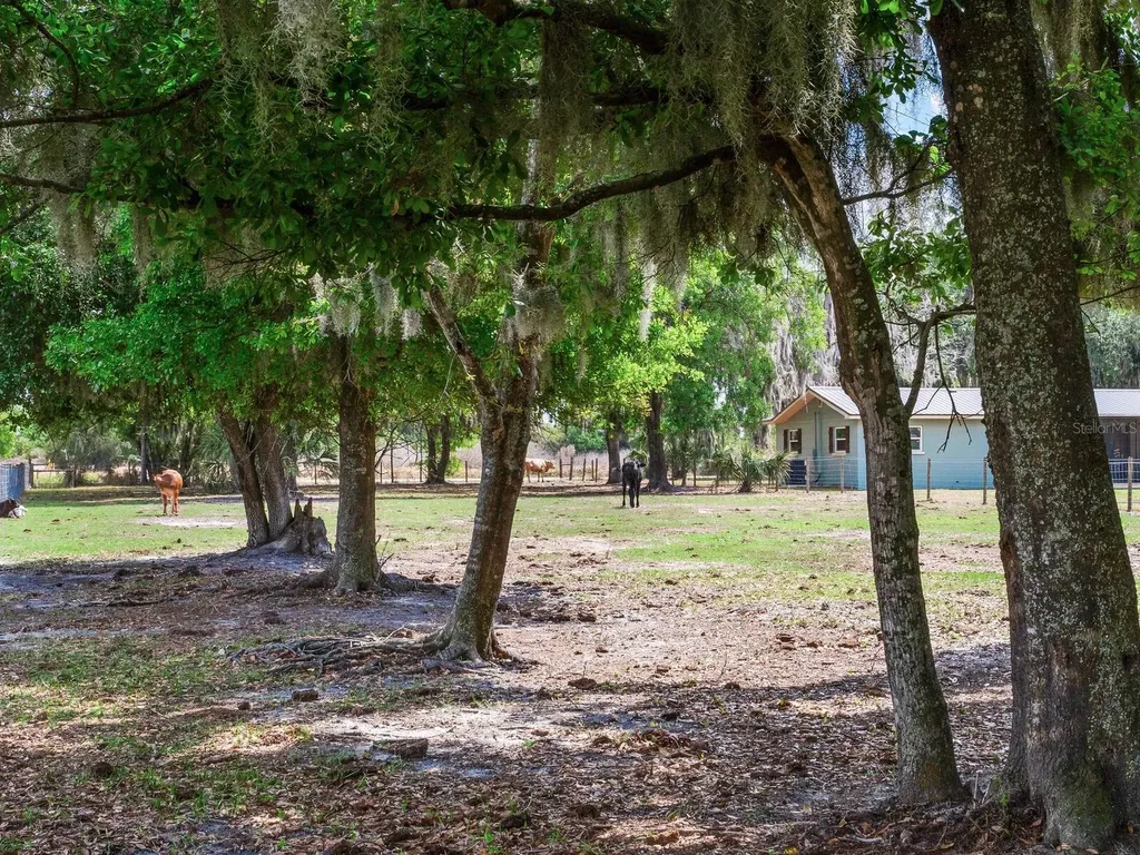 9819 Allen Road Lithia FL 33547