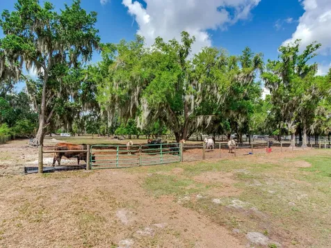 9819 Allen Road Lithia FL 33547